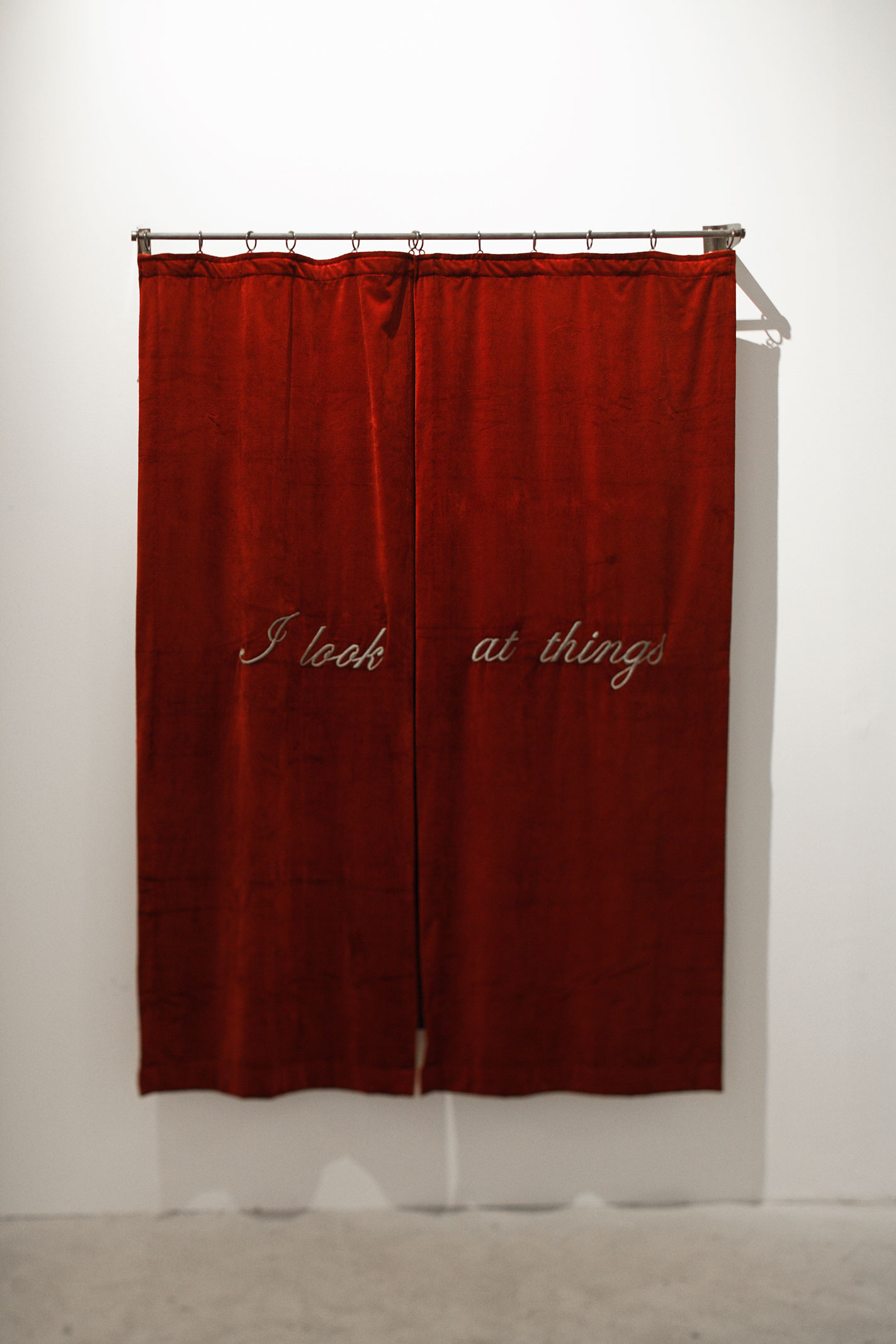 I look at things with eyes different from yours di Shilpa Gupta Part detail