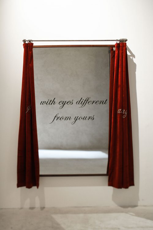 I look at things with eyes different from yours