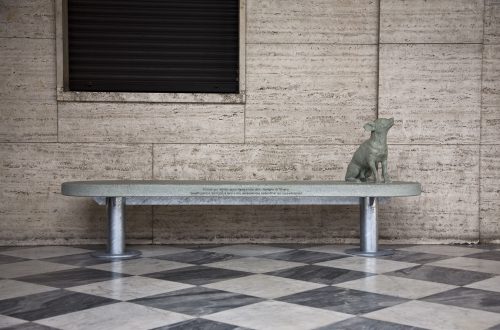 Il cane qui ritratto appartiene a una delle famiglie di Trivero. Quest’opera è dedicata a loro e alle persone che sedendosi qui ne parleranno.