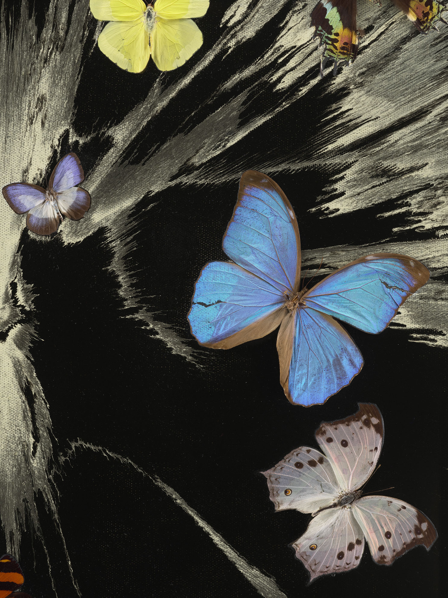 Beautiful Black and White Love Charity Painting di Damien Hirst Part detail