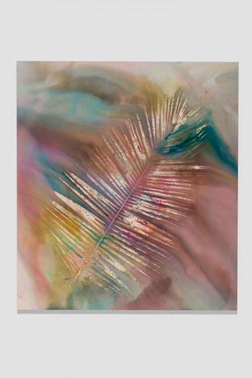 Untitled (Venice, CA, Palm 5)