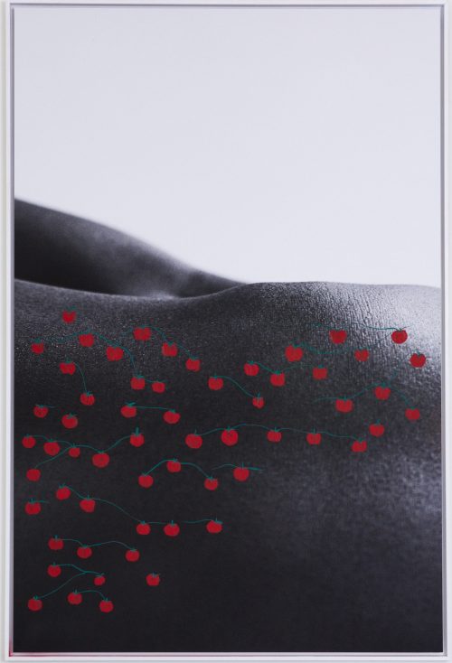 Paysage Corporele VII